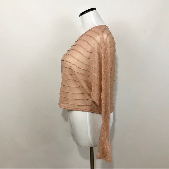 XXI | Shabby Pink sheer long sleeve crop top - Picture 3 of 8